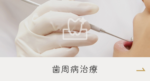 西鉄久留米駅から徒歩5分の歯医者・矯正歯科・インプラント「菊池歯科矯正歯科医院」｜歯周病治療