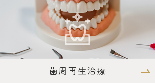 西鉄久留米駅から徒歩5分の歯医者・矯正歯科・インプラント「菊池歯科矯正歯科医院」｜歯周再生治療